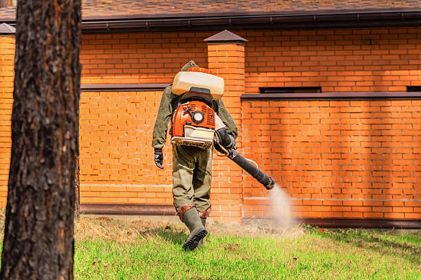 Trusted Cockroach Control service in Snead, AL - Nex Pest Control